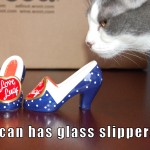 I can has glass slipperz?